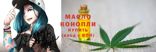 индика Артём