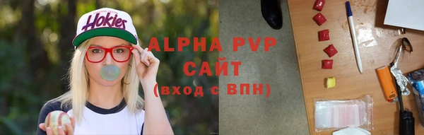 амф Надым