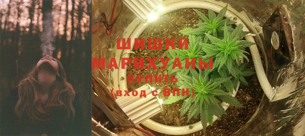 шишки Наволоки