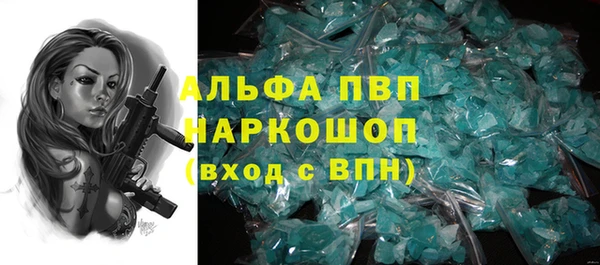 амф Надым