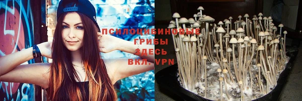 PSILOCYBIN Ачинск