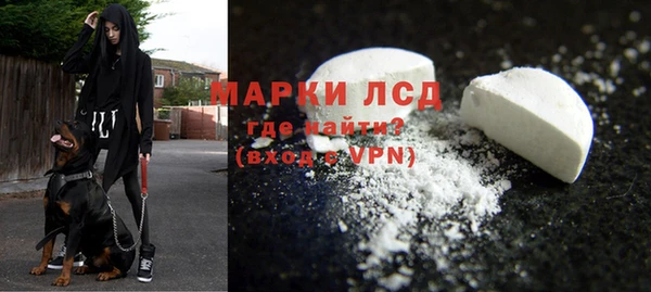 стафф Михайлов