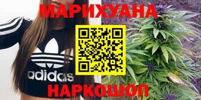 сатива Малгобек