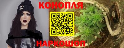 сатива Малгобек