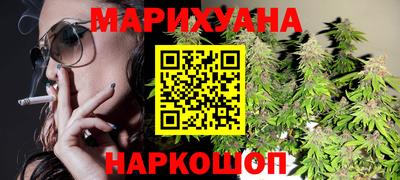 сатива Малгобек