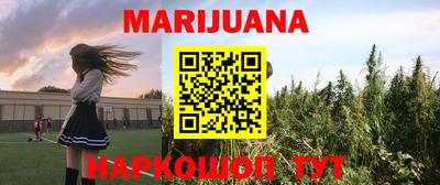 сатива Малгобек