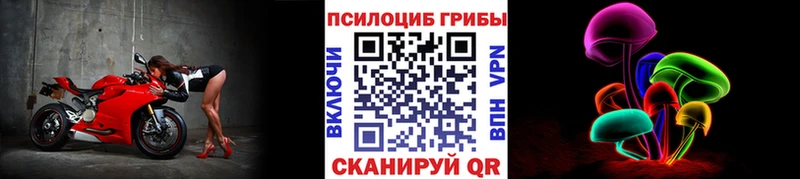 мега ТОР  Тверь  Галлюциногенные грибы Psilocybe 