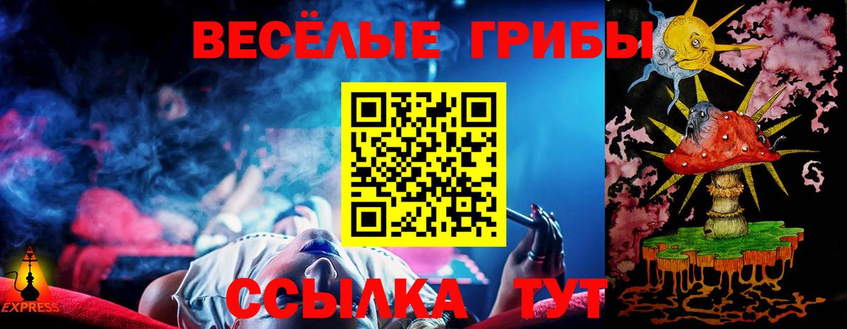 Псилоцибиновые грибы Cubensis  Вход с VPN  Тверь  Галлюциногенные грибы мицелий 